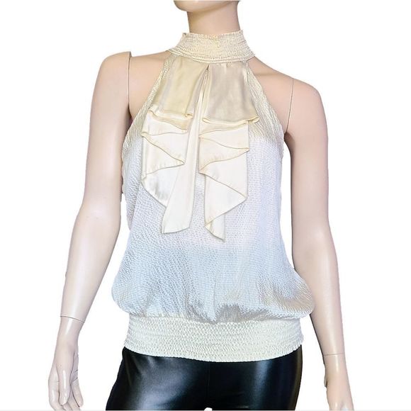 Pleated Front Silk Halter Top - Picture 1 of 6